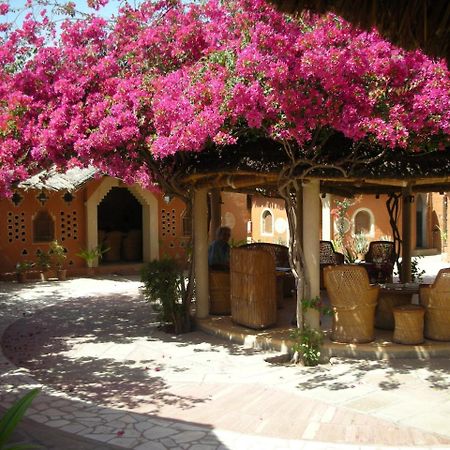 Apani Dhani Eco-Lodge Nawalgarh Kültér fotó