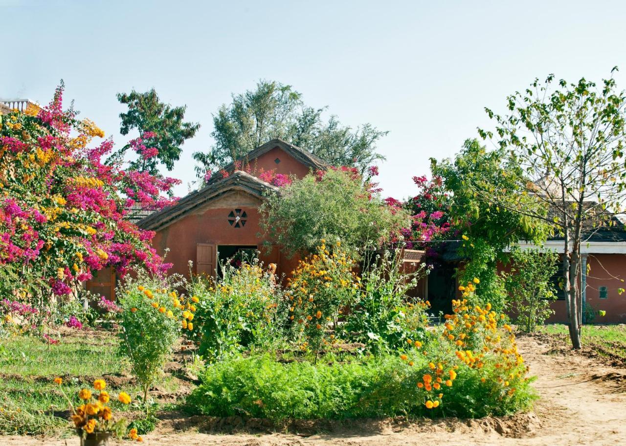 Apani Dhani Eco-Lodge Nawalgarh Kültér fotó